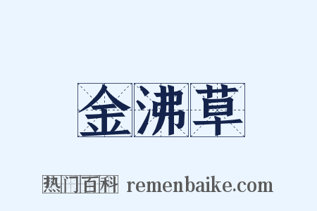 金沸草是什么意思的图片